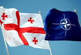 Интеграцию Грузии в НАТО обсудят в Батуми