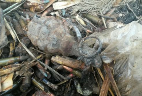 В Баку на свалке найдены патроны и граната (ФОТО)