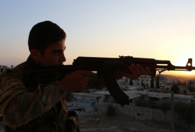 Сирийские военные взяли под контроль город Меядин