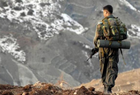 Армия Турции уничтожила десятки террористов ПКК