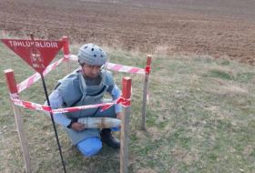 На территории Физулинского района обнаружены артиллерийский снаряд и противотанковая мина (ФОТО)