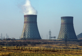 На Мецаморской АЭС начался кадровый «погром»