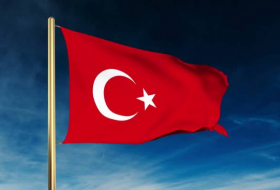 Турция требует расследования скандала на учениях НАТО