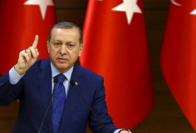 Эрдоган заявил о фактическом начале наземной операции в Африне