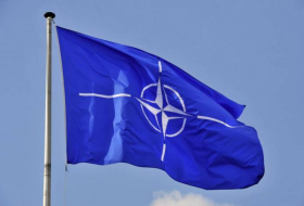 НАТО считает операцию Турции в Сирии самообороной