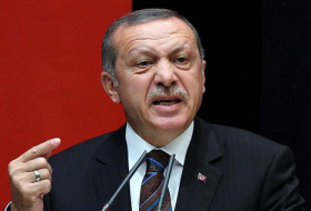 Эрдоган: Турецкие войска могут в любой момент войти в центр Африна