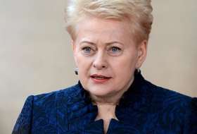 Президент Литвы призвала установить комплексы Patriot на подлодках