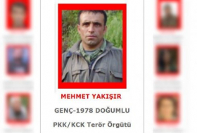 В Турции уничтожен один из главарей террористов ПКК