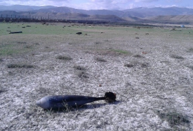 В Хызы обнаружено 66 единиц неразорвавшихся боеприпасов (ФОТО)