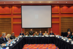 В Баку проведена международная конференция, посвященная победе над фашизмом