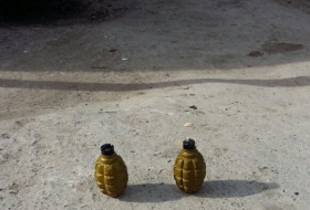 В Сумгайыте около детского сада обнаружены 2 гранаты
