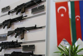 Турция будет представлена на оборонной выставке в Баку