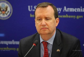 За правду о Карабахе армяне записали посла США в Армении в «агенты Баку»