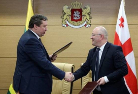 Министры обороны Грузии и Литвы обсудили военное сотрудничество