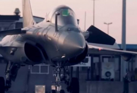 ВВС Индии опасаются атакующих истребители голубей
