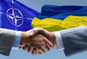 Поддержка вступления Украины в НАТО достигла исторического максимума