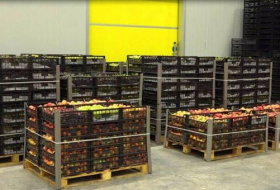 Воинским частям в Нахчыване сдано 10 тонн винограда и 1,5 тонны яблок