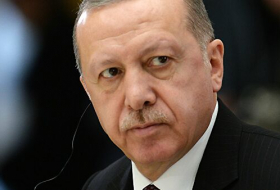 Эрдоган: Турция взяла под контроль 1220 квадратных километров в Сирии