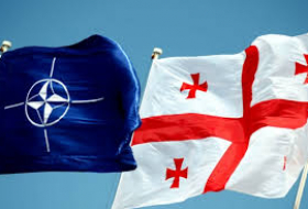 Агентство НАТО NSPA поставило Грузии автомобильную технику