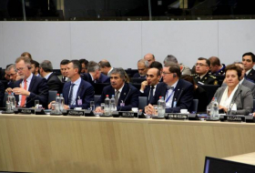 Министр обороны Азербайджана принял участие в заседании НАТО (ФОТО)