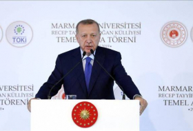 Эрдоган: Франция не вправе ставить под вопрос членство Турции в НАТО