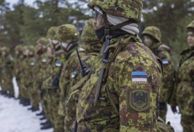 Эстония поможет Украине в создании территориальной обороны
