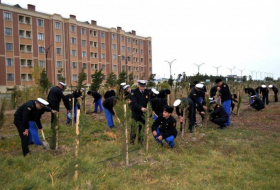 Минобороны Азербайджана приняло участие в акции по посадке деревьев