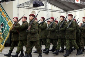 Власти Литвы решили выделить на армию меньше, чем собирались