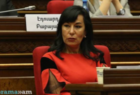 Наира Зограбян: Командир в/ч в Карабахе выбросил посылки, отправленные солдатам их родителями - ФОТО