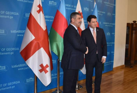 Председатель Парламента Грузии принял министра обороны Азербайджана