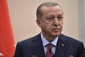 Эрдоган: Турция не уйдет с наблюдательных пунктов в Идлибе