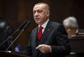 Эрдоган: Турция нанесет удар по силам Асада при малейшей угрозе в Идлибе