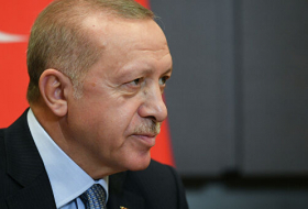 Эрдоган: ВС Турции не покинут сирийский Идлиб 