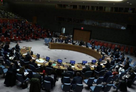 Совбез ООН проведет экстренное заседание по Идлибу