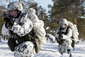 Финны отказались от учений НАТО в пользу собственных маневров
