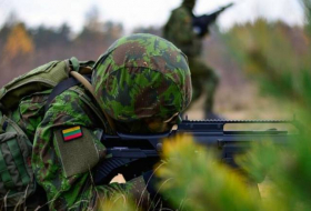 Из-за карантина в Литве отменили майский призыв в армию и учения резервистов 