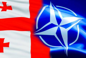Грузия намерена закупить несколько сотен новой спецтехники по стандартам НАТО