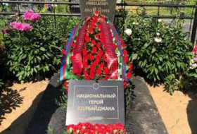 Героизм Анатолия Давидовича еще сильнее укрепил отношения между Азербайджаном и Беларусью