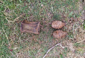 В Хызы обнаружили ручные гранаты