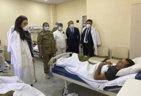 Омбудсмен посетила военнослужащих, получивших ранения в боях в направлении Товузского района (ФОТО)