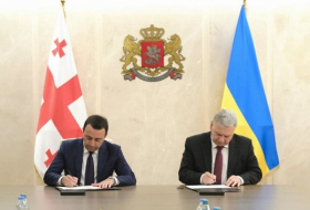 Украина и Грузия подписали план двустороннего сотрудничества между оборонными ведомствами