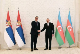 Президент Сербии отправит в Азербайджан делегацию для расследования факта использования Арменией сербского оружия