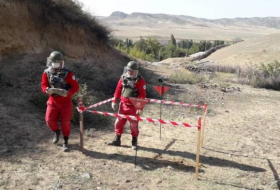 В Агстафинском районе обнаружено 7 артиллерийских снарядов разного калибра - ФОТО