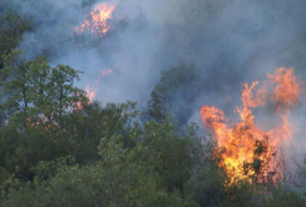 МЧС продолжает работы по тушению пожара в лесу Дашкесана 