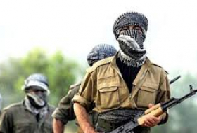 Террористы РПК / YPG уничтожаются в Карабахе