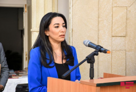 Омбудсмен Азербайдажна выступила с видеообращением к мировой общественности и международным организациям – ВИДЕО