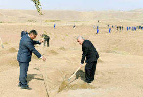 В Нахчыване посажены деревья в память о шехидах - ФОТО
 