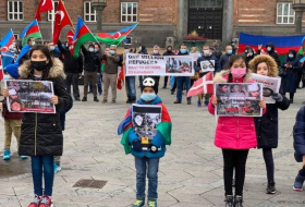 Проживающие в Дании азербайджанцы провели акцию в связи с террором в Гяндже - ФОТО