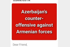 В США стартовала кампания протеста азербайджанцев против провокаций Армении