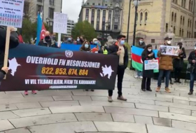 Проживающие в Осло азербайджанцы провели акцию перед зданием парламента - ФОТО
